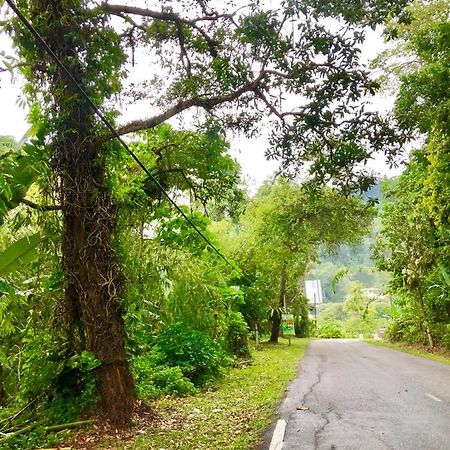 Selesa Resort Homestay Janda Baik 외부 사진