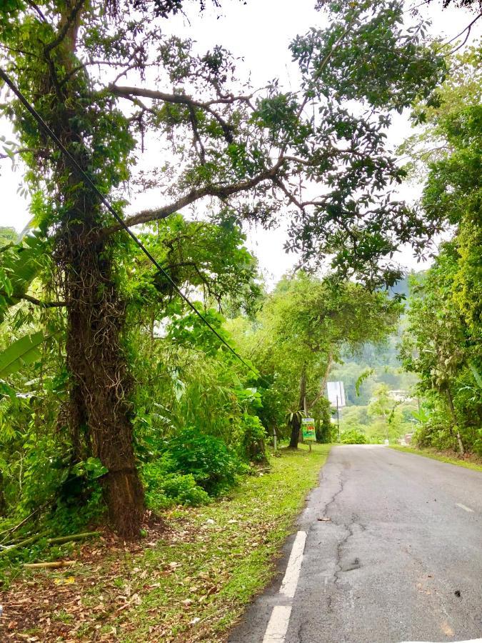 Selesa Resort Homestay Janda Baik 외부 사진